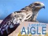 aigle en location