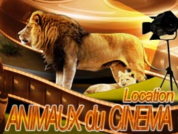 dressage animaux cinema